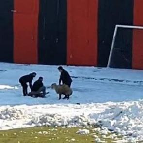 T&uuml;rkiye'de ma&ccedil; sırasında kurban kesimi yapıldı! G&ouml;r&uuml;nt&uuml;ler g&uuml;ndem oldu