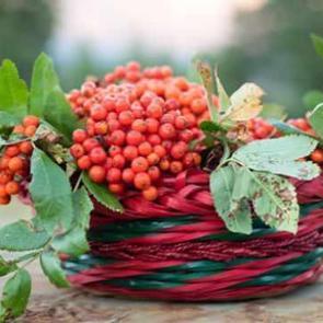 Tokat ve Sivas&rsquo;ta yetişiyor, t&uuml;m d&uuml;nya faydalarını konuşuyor! &Uuml;vez meyvesinin faydaları neler?