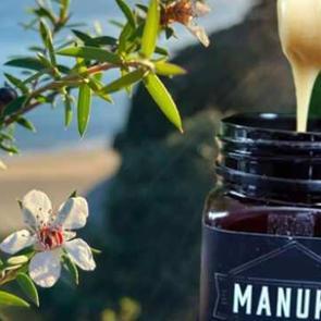 Doğal şifa kaynağı: Manuka balının faydaları nelerdir?