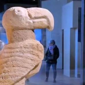 Antik Roma'nın simgesi Kolezyum'da 'Göbeklitepe' sergisi