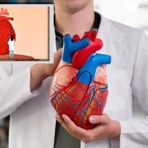 Bilim insanları kalpte mini beyin keşfetti: Kalp artık beyinden bağımsız kontrol edilebilecek