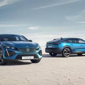 Peugeot, geçen yıl Türkiye'de 73 bin 542 adetlik satışa ulaştı