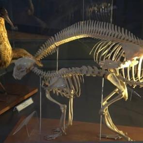 40 yılda toplandı! Gerçekte görmek imkansız