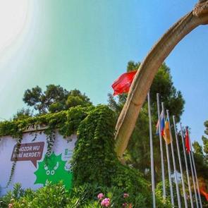 Sevindiren haber! Bedava oldu