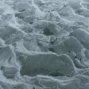 Aynı anda hem korku hem heyecan: Tek sebebi ise çıkan ses!