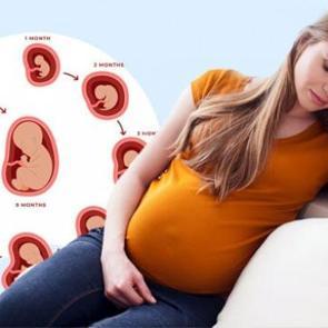 Hamilelikte yetersiz uyku, bebeklerin beyin gelişimini geciktirebilir