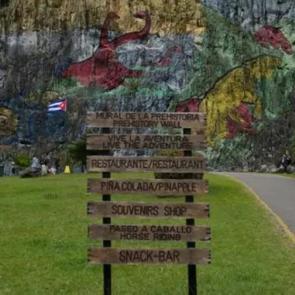 Türk akını başladı! Çaresi olmayan hastalık için umut oldular