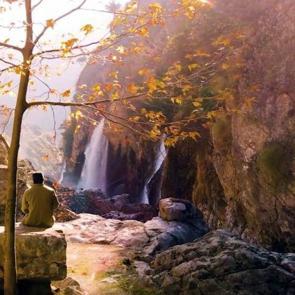 Son 10 yılın rekoru! Rakamlar çok şaşırtıcı