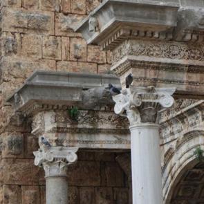 Tarih ve doğa iç içe! Surların duvarlarına yuva yaptılar  