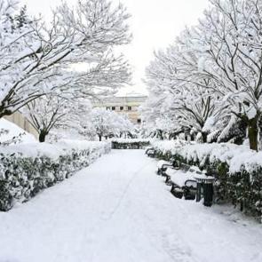 Son Dakika: Bir&ccedil;ok ilde yarın eğitime 1 g&uuml;n ara verildi