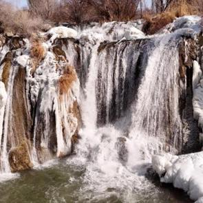 Bu güzelliği herkes görmeli! 20 metrelik dev resmen dondu