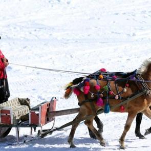 Çıldır Gölü 'Altın At Kristal Buz Festivali' ile renklendi!