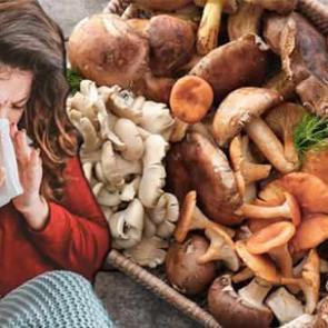 Mantarın gribe iyi geldiği kanıtlandı: Gribe karşı etkili savunma!