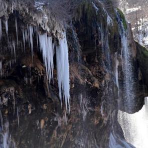 Bu şelale bambaşka! Doğru a&ccedil;ıyı bulan aslanı g&ouml;r&uuml;yor