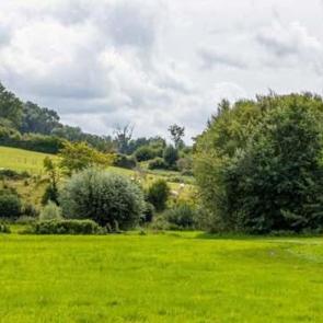 Gayrimenkul sekt&ouml;r&uuml;nde hareketlilik artıyor