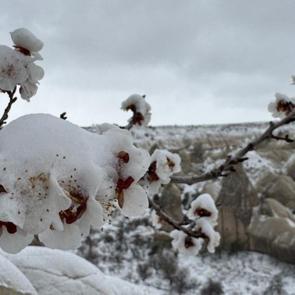 Norveç ve Hindistan’dan gelenler var: Gördüklerine inanamadılar!