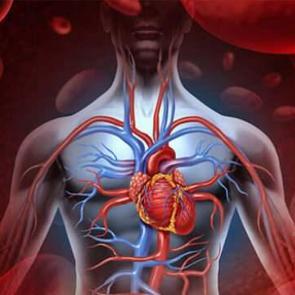 50 yaş &uuml;st&uuml; i&ccedil;in hayati &ouml;nem taşıyan vitaminler: Kan dolaşımınızı g&uuml;&ccedil;lendirin!