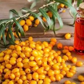 Alı&ccedil; sirkesini i&ccedil;menin faydaları: Tam bir savaş&ccedil;ı! Zırh gibi koruyup meydan okuyor