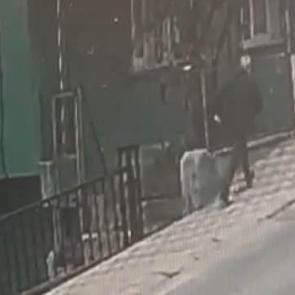 Damattan kayınpederine sokak ortasında silahlı saldırı