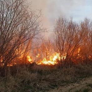 Darende'de iki farklı noktada bahçe yangını söndürüldü!