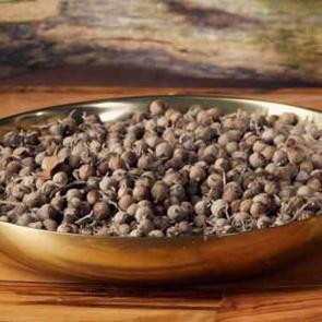 Hayıt tohumunun faydaları: Doktorların bir numaralı dostu! Kapış kapış gidiyor