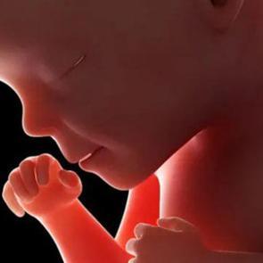 SMA hastalığı anne karnında tedavi edildi! SMA&rsquo;da umut verici yeni gelişme