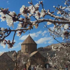 Akdamar Adası çiçek açtı: Tarih ve doğa tek karede buluştu!