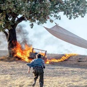 Buğday Tanesi'ne Fransa'dan ödül