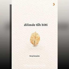 Recep Karaaslan'dan 'Dilimde Tüh Bitti'