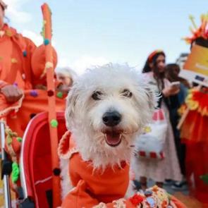 Şehrin simgesi karnavala dönüştü: Rengarenk kostümlerle meydana çıktılar