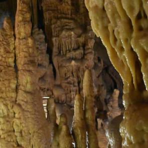 Tabelalarda görmek yetmez! İlk defa gelenler inanamıyor