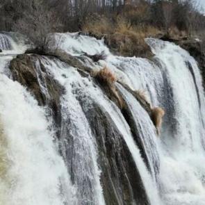Tam bir görsel şölen! 20 metreden akıyor