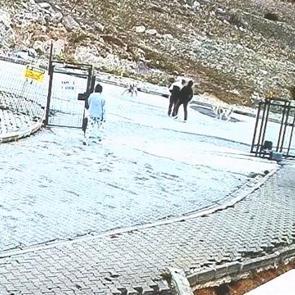 Ankara'da tepki çeken görüntü: Beslediği köpekler çocuklara saldırdı!