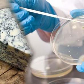 Dikkat: &Ouml;l&uuml;mc&uuml;l bakteri tespit edilen &uuml;nl&uuml; peynir markası raflardan toplatılıyor!