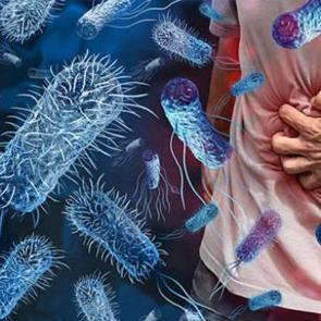 Gıda g&uuml;venliği alarmı: Listeria ve E. coli sağlığı tehdit ediyor!