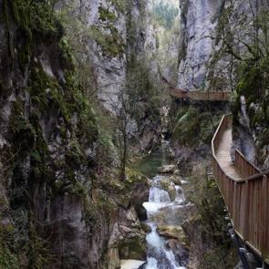 Şanını duyan koştu! Ortak noktaları internet: Nüfusu 10 katına çıktı