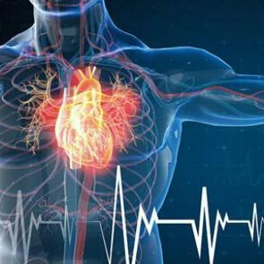 6 ayda 2,5 milyon kişi tarandı, 300 bin kişide risk tespit edildi!