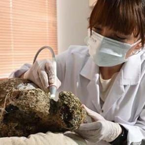 Gemi batığında 1100 yıllık kapağı açılmamış amfora bulundu