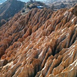Geceleri bambaşka bir hale geliyor: İlk kez görenleri ürkütüyor!
