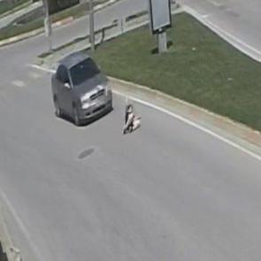 Edirne’de otomobil, yayaya çarptı! 