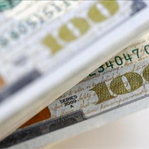 Serbest piyasada döviz açılış fiyatları