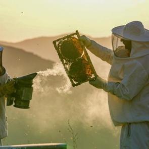 Sağlık bulmak isteyenler bu rotaya katılıyor!