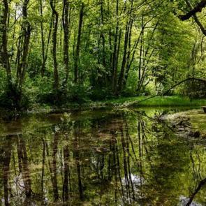 Saraybosna’nın doğa harikası: Yeşilin binbir tonu bir arada!
