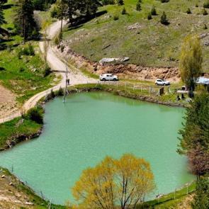Keşfetmenin şimdi tam vakti! Çam ağaçlarının arasındaki doğa harikası
