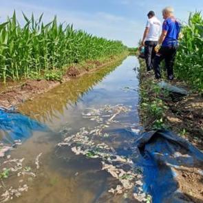 Sulama için tarlaya gitti, cesedi bulundu