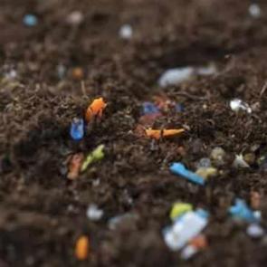 Salata değil, plastik yiyoruz! Tarım ürünlerindeki sessiz tehlike