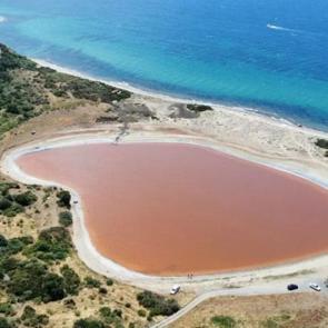Hem kalp şeklinde hem de pembe: Rengi değişmeden yetişin!
