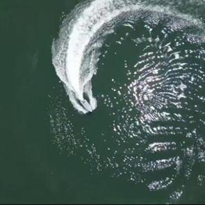 Kamikaze İDA 'PİRANA' testi geçti! Artık göreve hazır