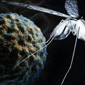 Ölümcül virüs kapıda: Yunanistan'da Batı Nil virüsü alarmı verildi!