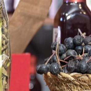 Türkiye’nin zengin mirası canlanıyor: Değerlerin Daveti’nde günün ürünü: Yalova aronyası